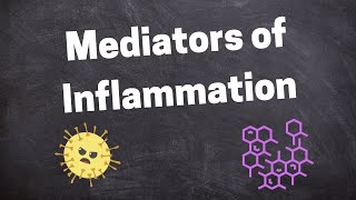 Chemical Mediators of Inflammation [upl. by Gerbold19]