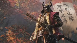 Sekiro  General Tenzen Yamauchi  AP1 NKCDB Sword Only No HitDamage [upl. by Nivets284]