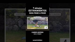 7 min Estiramientos Cuerpo Completo  Flexibilidad y Relajación estiramientos estiramiento [upl. by Oretna167]