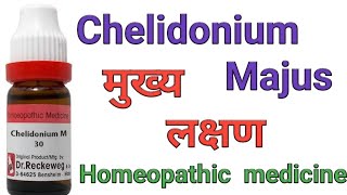 Chelidonium Majus q homeopathic medicine symptoms amp uses in hindi [upl. by Loos]