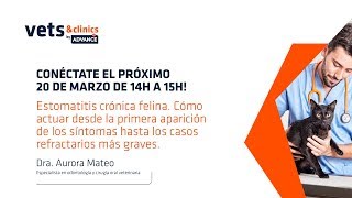 07ES Estomatitis crónica felina ¿Cómo actuar en cada caso Dra Aurora Mateo [upl. by Ecyla]