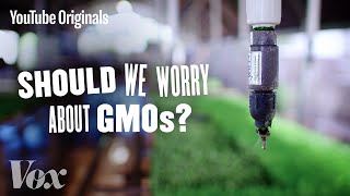 Should We Be Worried About GMOs  Glad You Asked S1 [upl. by Cosenza]