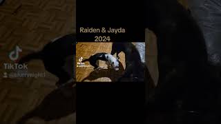 Raiden amp Jayda 2024 [upl. by Daveta185]