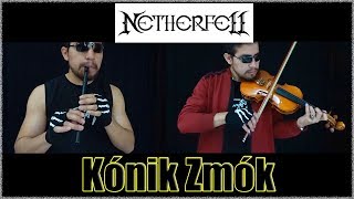 Netherfell  Kónik Zmók Cover [upl. by Sam]