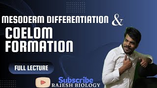 mesoderm differentiation and coelom formation [upl. by Denzil]