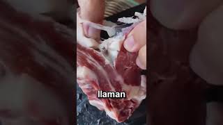 Asi se hace la CARNE FALSA en China [upl. by Ram]