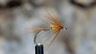 Quill Bodied Cruncher [upl. by Hermina]