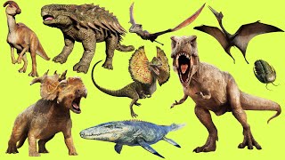 Learn Names and Sounds of Dinosaurs in English [upl. by Esirrehc]