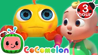 Itsy Bitsy Spider  More Cocomelon  Nursery Rhymes  Fun Cartoons For Kids  Moonbug Kids [upl. by Aivatnuahs]