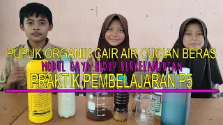 Praktik Pembelajaran P5 Gaya Hidup Berkelanjutan  PUPUK ORGANIK CAIR AIR CUCIAN BERAS [upl. by Neidhardt287]