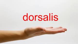 How to Pronounce dorsalis  American English [upl. by Aridni]