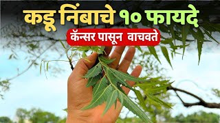 कडू निंब खाण्याचे फायदे  Kadunimb benefits in marathi [upl. by Eimrej86]