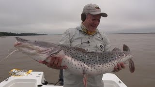 Pescando Surubim no Inverno Argentino  Bloco 2 [upl. by Seif835]