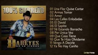 Dareyes De La Sierra  100 Sierreño CD Completo 2017 [upl. by Aninat64]