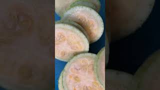 Amazing Zucchino Rampicante Squash [upl. by Browne389]