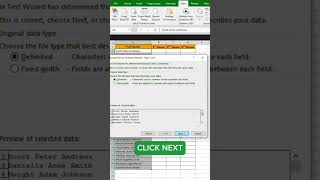 How to Convert Text to Columns excel spreadsheetsoftware exceltips [upl. by Arikat523]