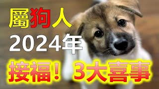 2024生肖運勢，十二生肖屬狗2024年三大喜事，分別是什麼喜事，2024年，屬狗的朋友衝太歲，運勢相比其他生肖低迷許多，十二生肖當中，許多屬相的命運會迎來全新的變化，屬狗雖然在2024年運勢不好 [upl. by Meggy893]