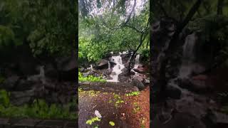 Palghar Waghoba Ghat Waterfall 🌦️💦Water Fall Palaghar waterfall palghar waterfalls jawhar [upl. by Enialehs]