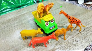 gadi wala cartoon  jcb car tractorbusmini tarctor  train baribe Baby Nursery Rhymes amp Kids [upl. by Yesdnyl]