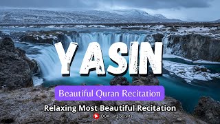 Most beautiful recitation of Surah Yaseen Yasin سورة يس beautifulquranrecitation yaseen [upl. by Bancroft]