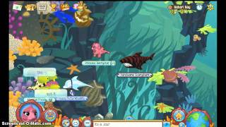 Animal Jam Oceans [upl. by Ecirahs876]