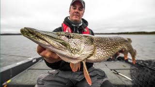 Lake Nipigon Ontario  BIG Northern Pike  InDepth Outdoors Season 11 Episode 4 [upl. by Sheba405]