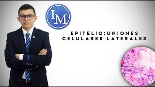 Histología  Epitelios  Uniones celulares laterales [upl. by Britta]