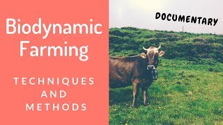 Documentary Biodynamic Farming Techniques amp Methods Explained [upl. by Eytak444]