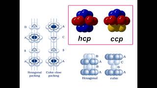 hcp vs ccp [upl. by Mamoun975]