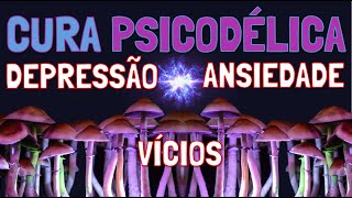 Como Psicodélicos podem Curar Depressão Ansiedade e Vícios [upl. by Marou]