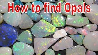 How to find Opals  Coober Pedy  Liz Kreate [upl. by Ayikan137]