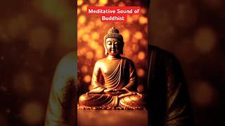 Meditative Sound of Buddhistytshorts combodia japan budha meditation meditationmusic [upl. by Holt]