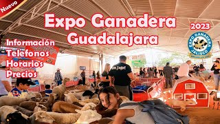 Expo Ganadera 2023 Guadalajara mexico [upl. by Enoid979]