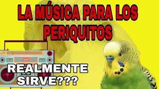 La música para los periquitos [upl. by Ahtennek545]