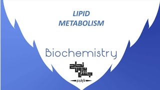 Lipid Metabolism  Biochemistry 2 Lec 4 [upl. by Agatha89]