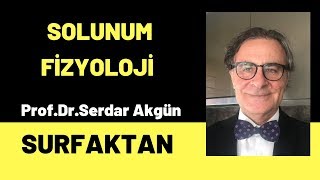 Surfaktan Solunum Fizyoloji Tıp Öğrencileri [upl. by Ahsuatan]