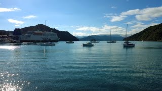 A day in Picton New Zealand  MBlogcz [upl. by Chere658]