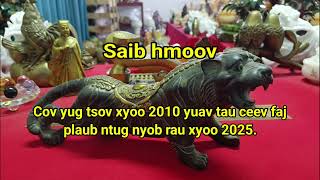 Cov neeg yug tsov xyoo 2010 yuav tau ceev faj plaub ntug kev txhaum cai nyob rau xyoo 2025 [upl. by Hgeilyak401]