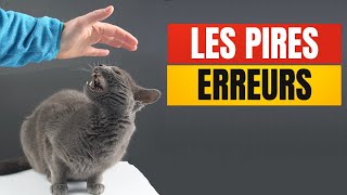 20 ERREURS fréquentes que font les Propriétaires de Chats  Incroyablement Top [upl. by Etnom]