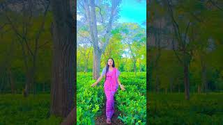 Udang bwtwrni belarwm✨💞🤍💓🥀🌸🪷🌷 somni bodo  new reels statusvideo [upl. by Ettevy]