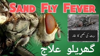 SandFly FeverSymptoms And Treatment At Home [upl. by Aisinut294]