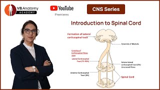 Introduction to the Spinal Cord Series with Dr Vaishaly Bharambe [upl. by Erdreid393]