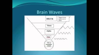 Brain Waves Explained [upl. by Hannazus701]