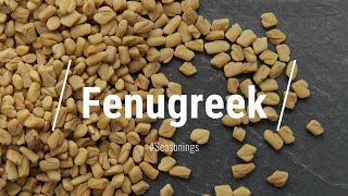 🔵 All About Fenugreek [upl. by Hoebart516]