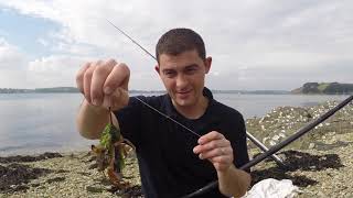 Shore and Boat Fishing Cornwall  Two Sessions One Video [upl. by Kciredes]