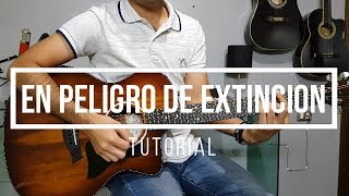 TUTORIAL  En peligro de extincion  Banda La Adictiva [upl. by Assilak]