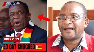 Time For Zanu PF To Pack Their Bags 🇿🇼 [upl. by Toshiko]