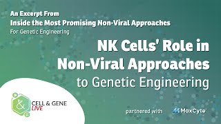 NK Cells’ Role in NonViral Approaches to Genetic Engineering [upl. by Onirefez]