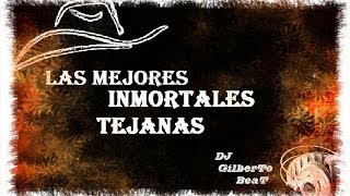 LAS MEJORES INMORTALES TEJANAS  DJ Gilberto Rodriguez [upl. by Eimarrej]