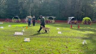 Rally Obedience Klasse 2 HSV Bergkamen 281023 [upl. by Luapnaes650]